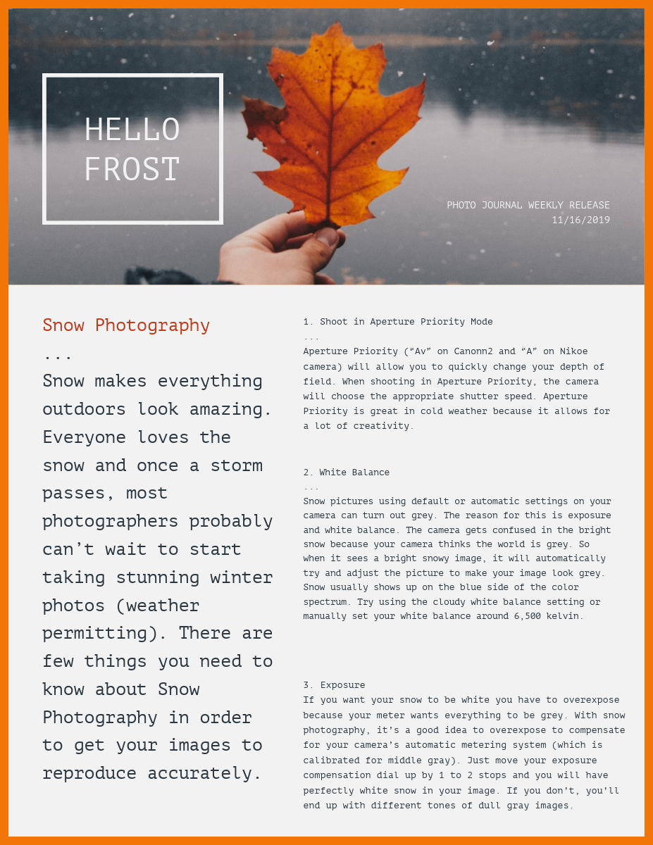 Winter Photography Newsletter Graphic