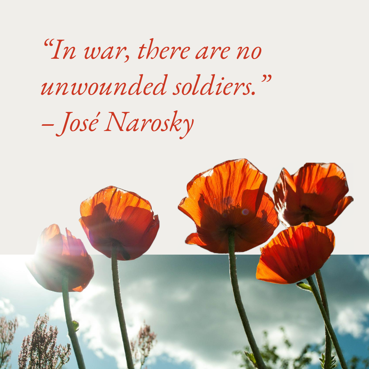 Grey Red & Blue Jose Narosky Quote Instagram Square Post