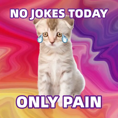 Purple And Pink Meme