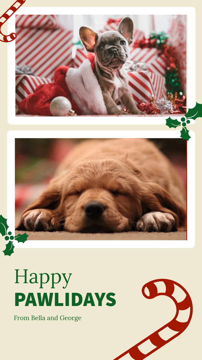 Dog Portraits Collage Christmas Wishes Instagram Square