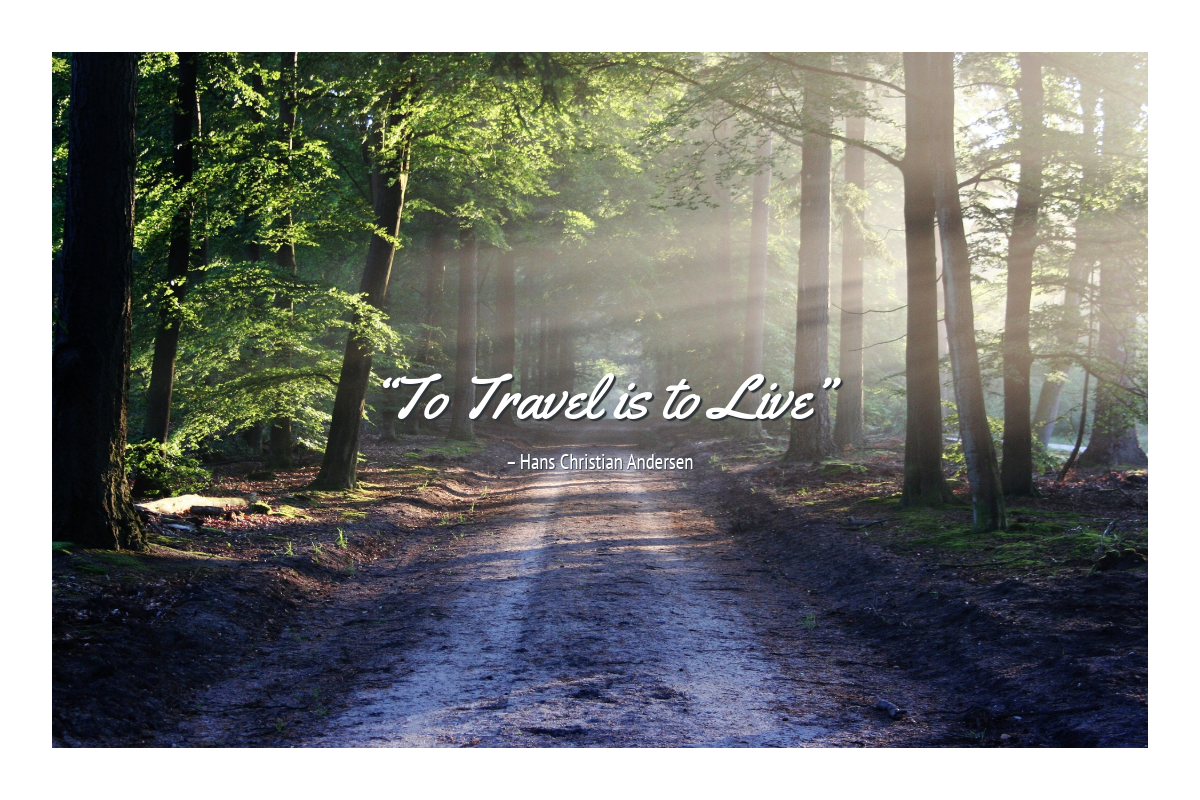 Travel Quote Postcard with Road in Forest