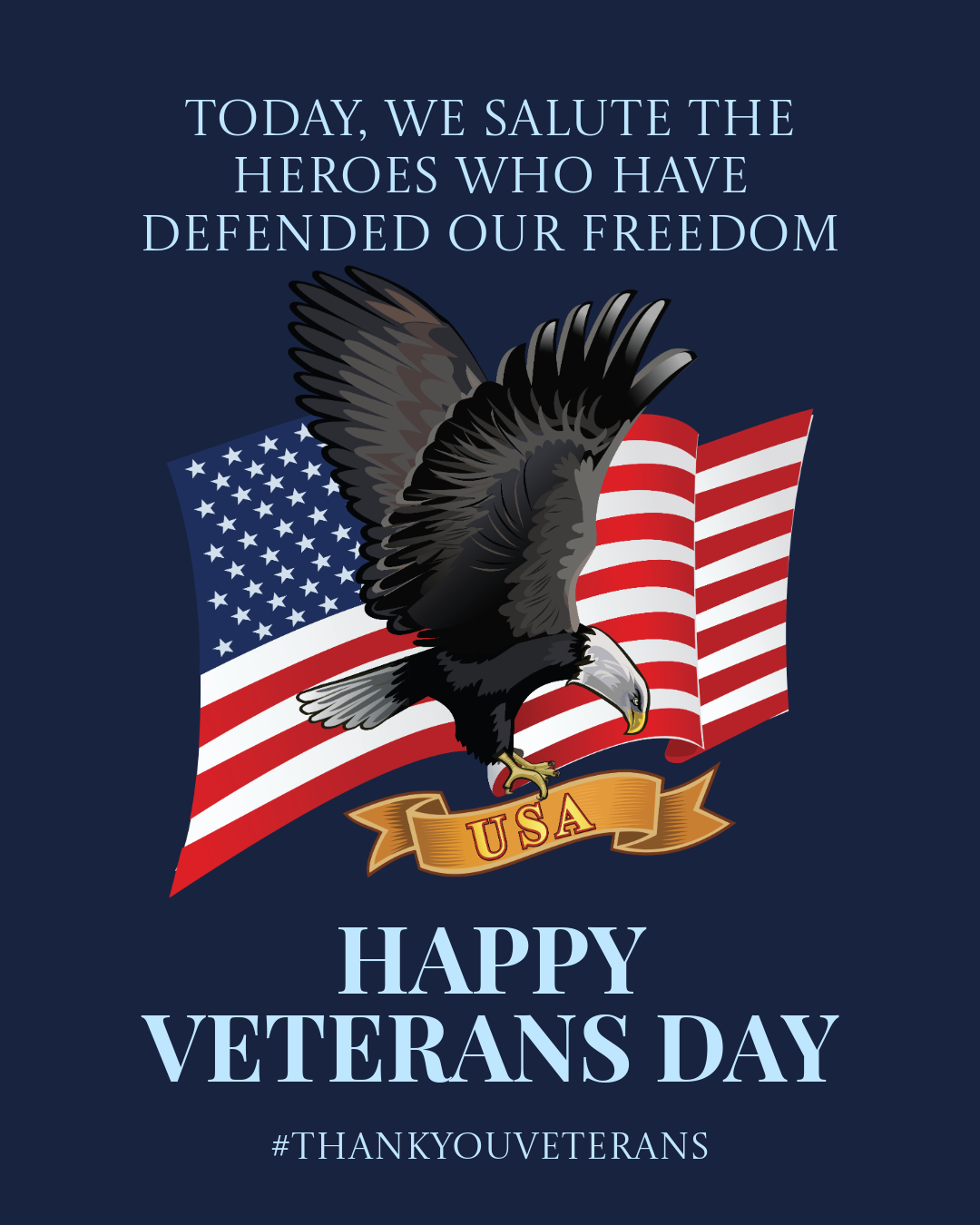 Blue Veterans Day Instagram Portrait Post