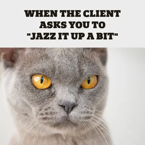 Grey Funny Cat Graphic Design Meme