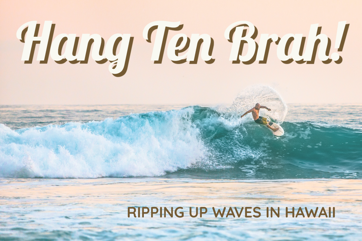 Pink And Blue Pastel Hawaii Surfing Facebook Post