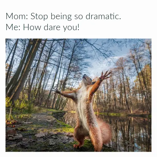 Dramatic Squirrel Funny Meme