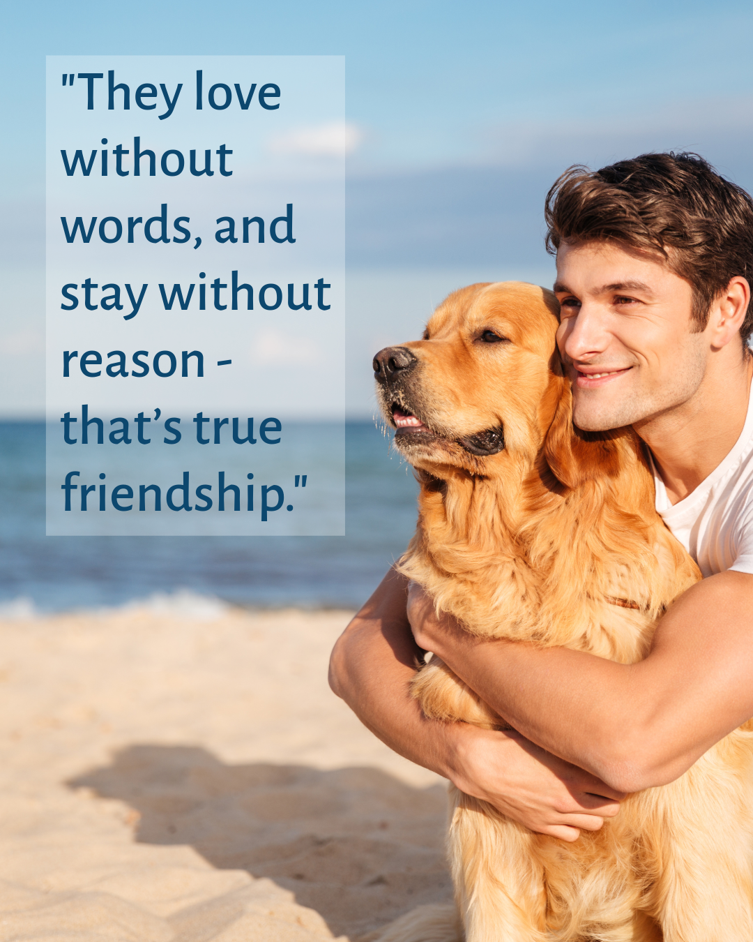 Blue Pet Friendship Quote Instagram Portrait Post