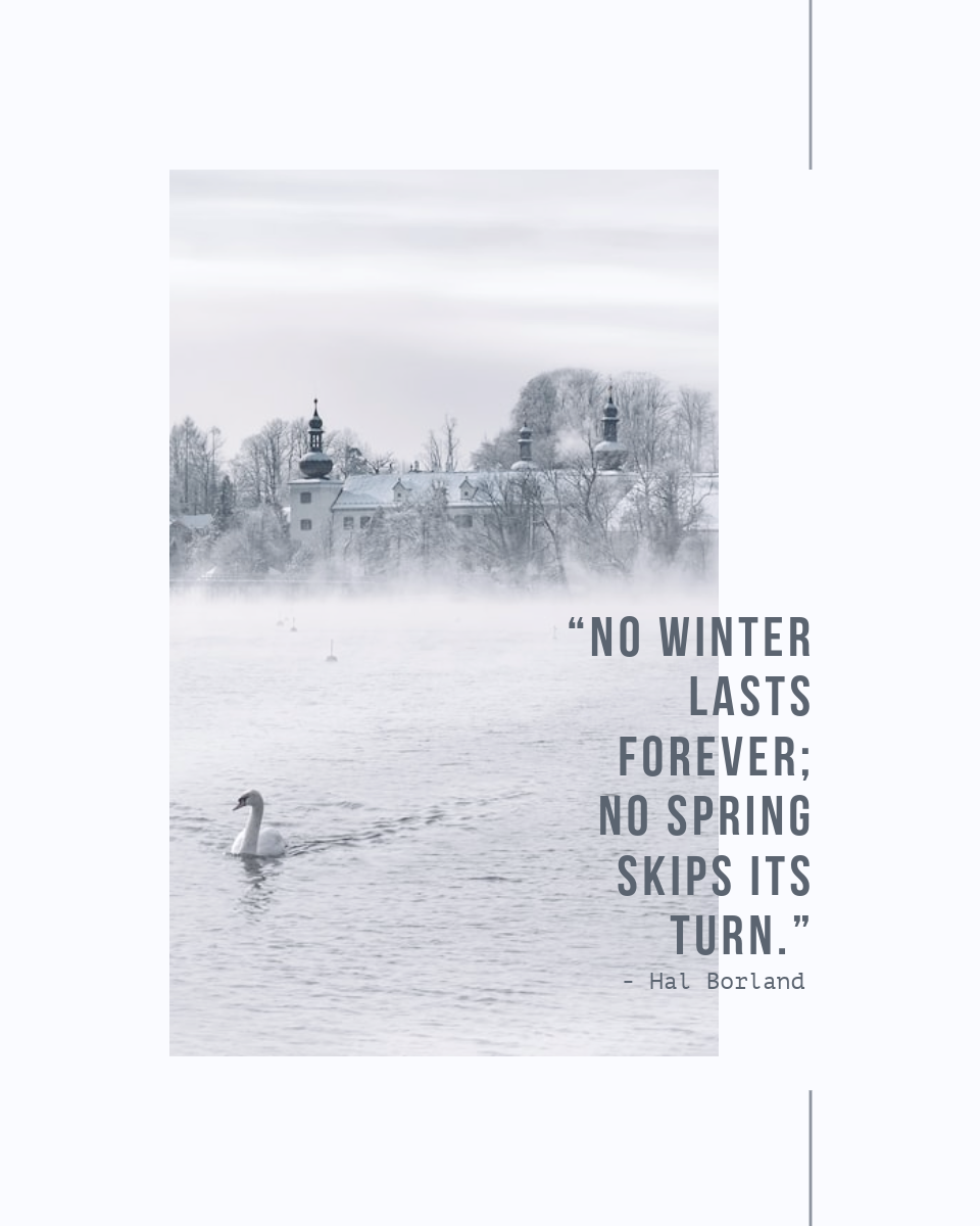 White Swan Quote Winter Instagram Portrait