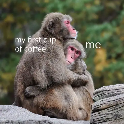 Funny Coffee Monkeys Hugging Meme