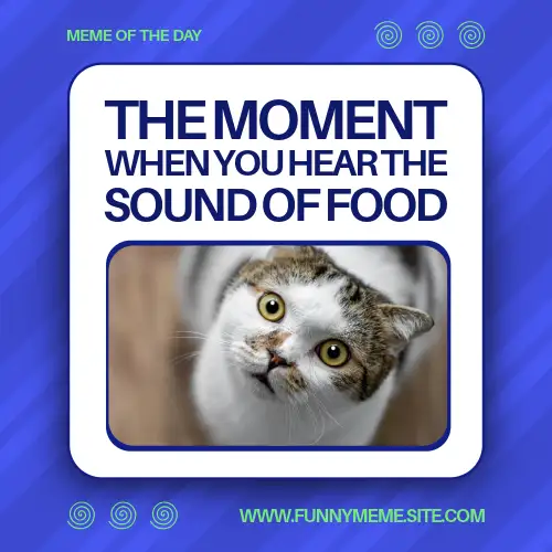 Blue And White Meme Of The Day Meme