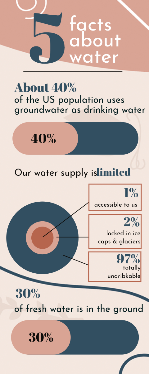 Pink Stylish Facts About Water Infographic