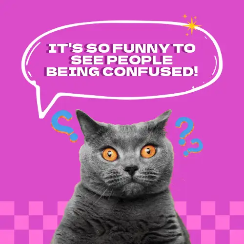 Purple And White Being Confused Meme