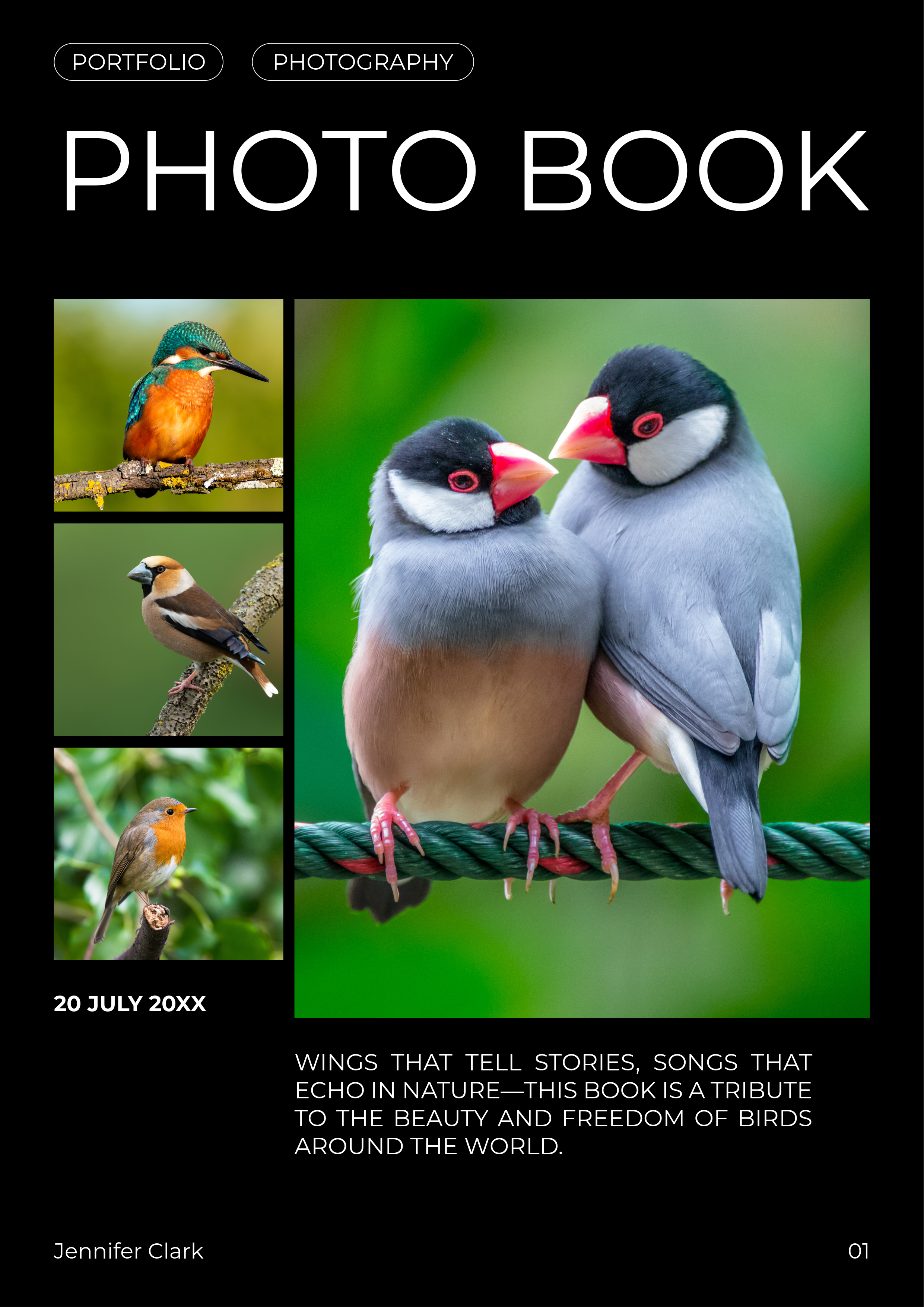 Black and White Birds Photography Photo Book