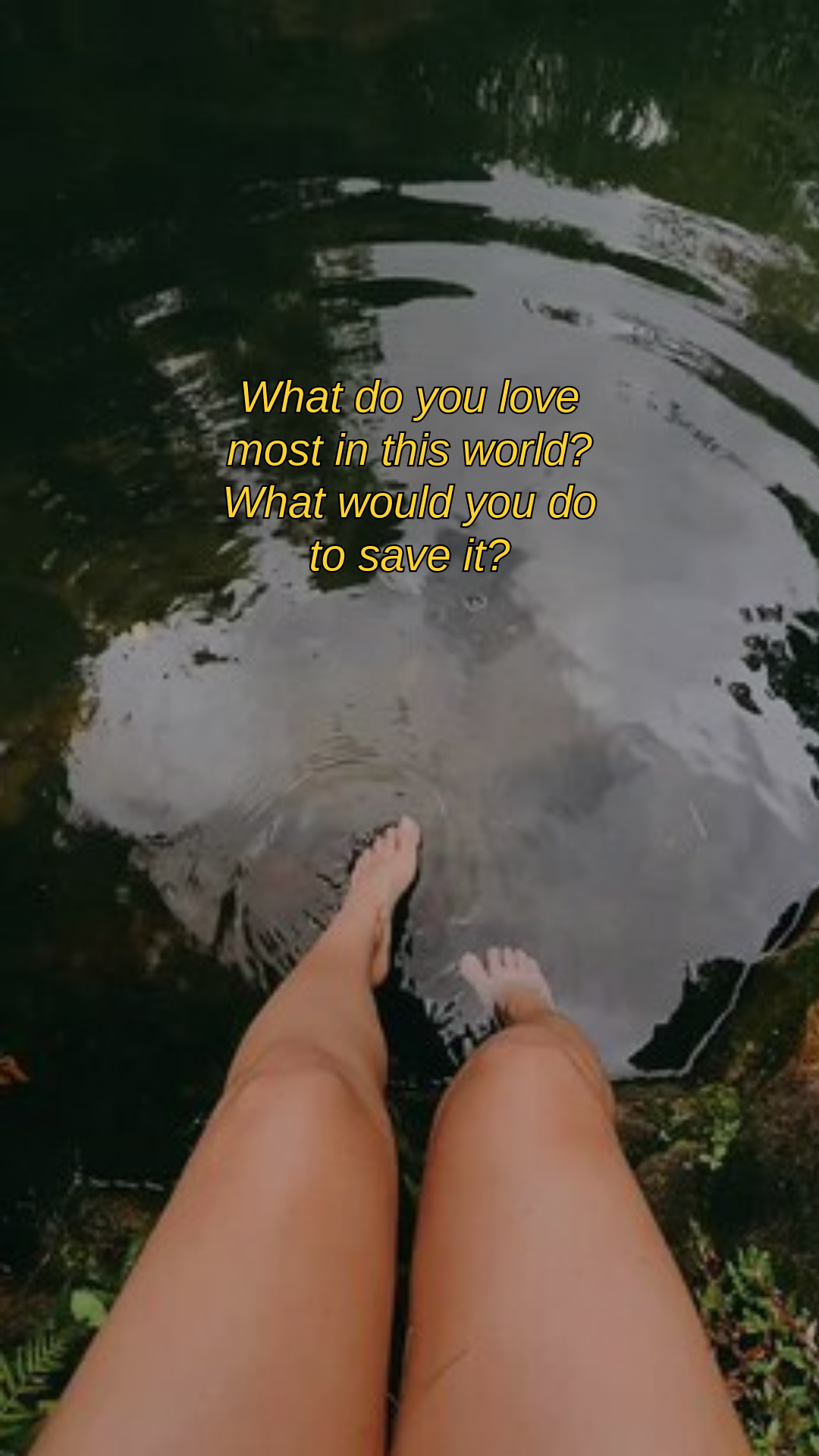 Yellow Poetry TikTok Video