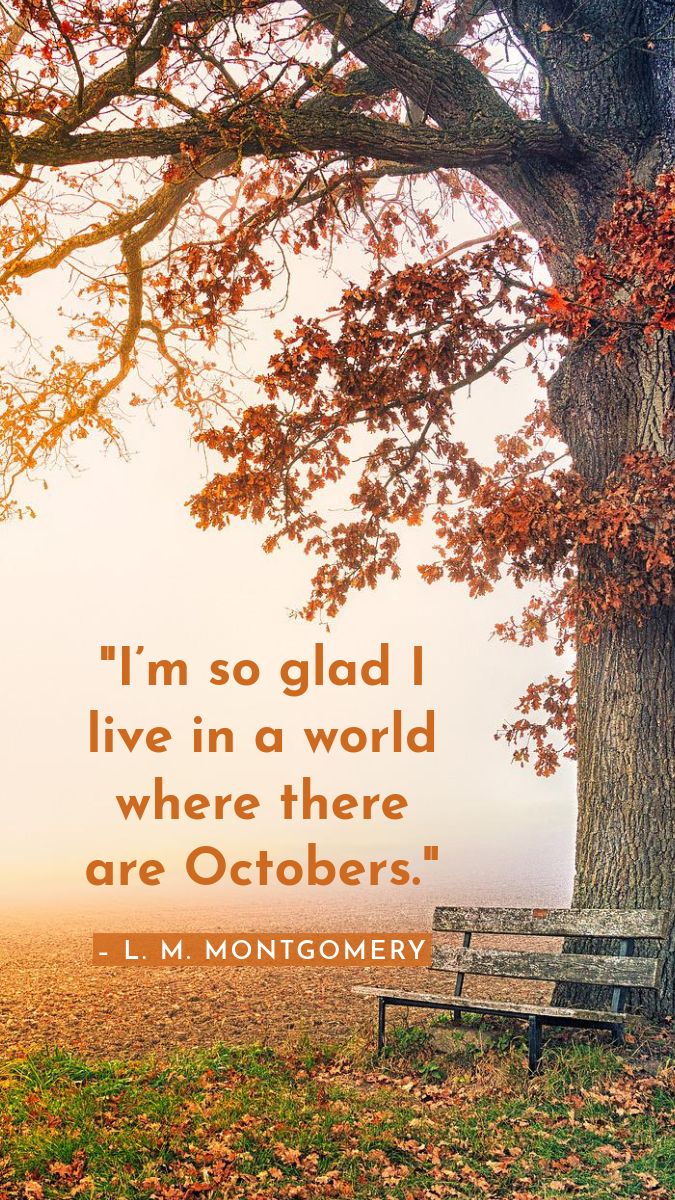 Orange Red and White Autumn October Quote Facebook Story