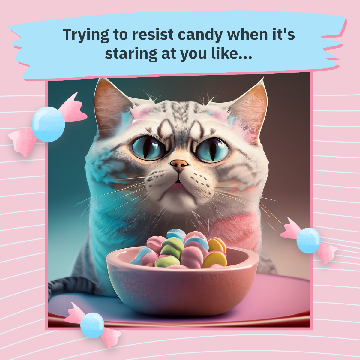 Pink And Blue Cat Meme