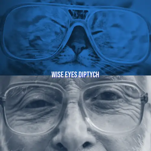 Blue And Grey Toned Glasses Meme Instagram Square