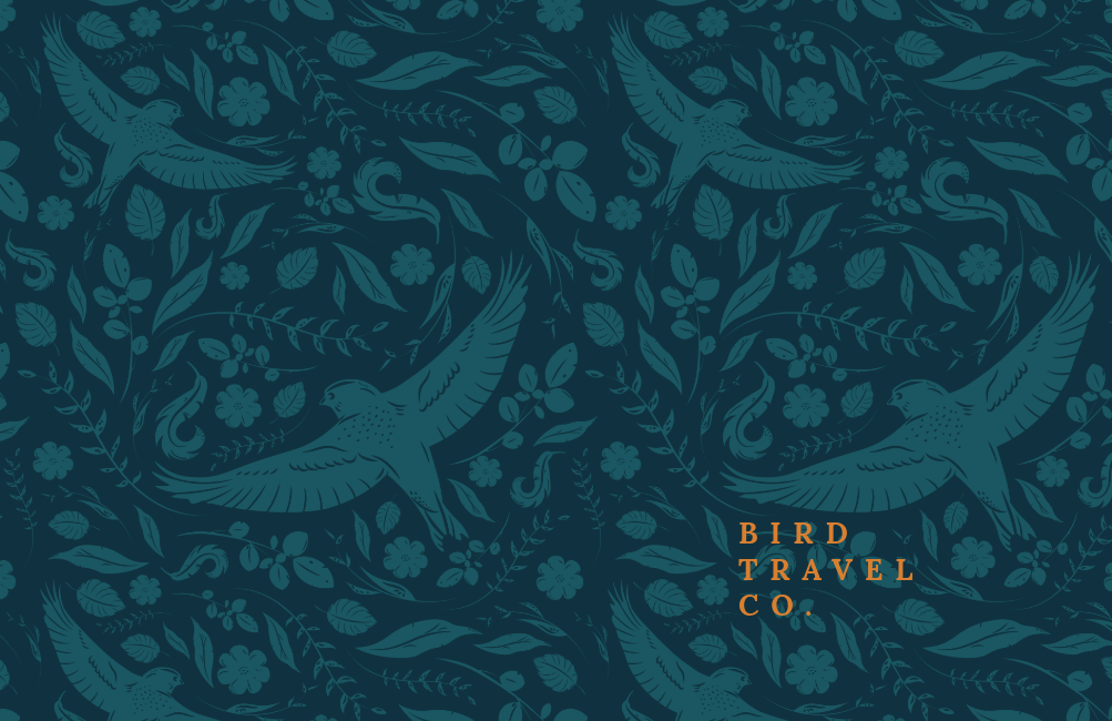 Teal And Orange Travel Company Business Card