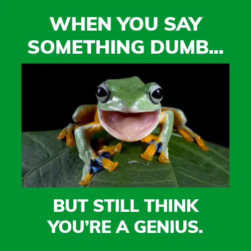 Green And White Saying Something Dumb Meme