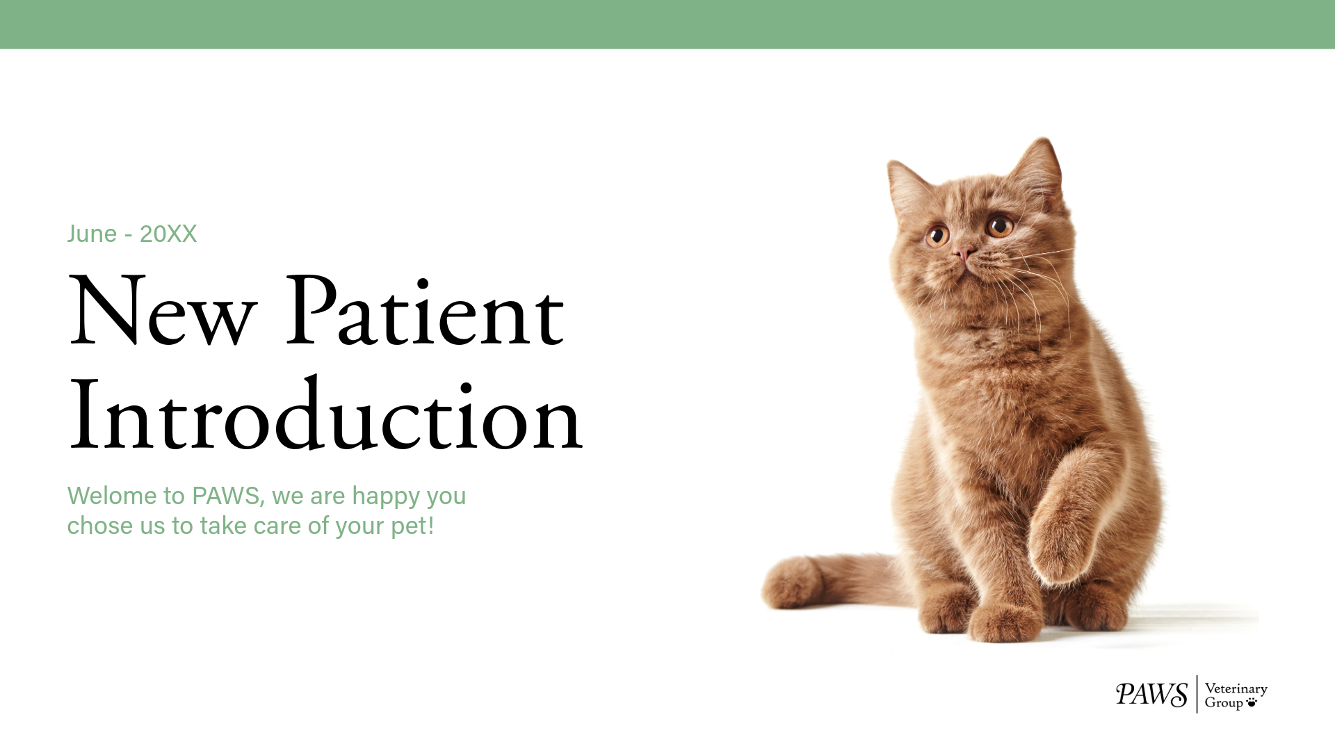 Green and White Simple Corporate Veterinary New Patient Presentation