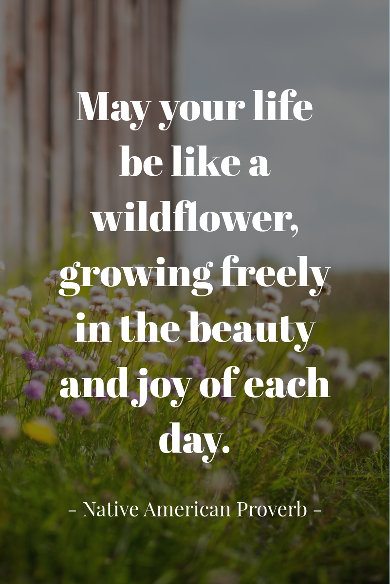 Meadow Photo Elegant Inspirational Beauty Quote Pinterest Post