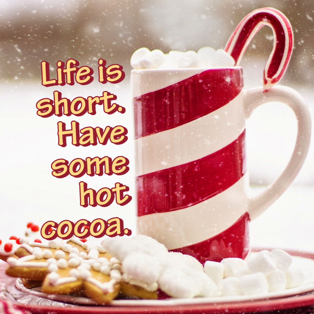 Red Mug Hot Cocoa Inspirational Sentence Instagram Square
