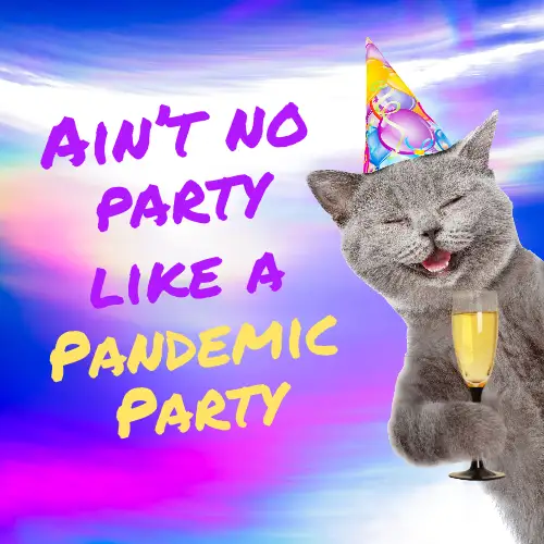 Colorful Funny Party Cat Meme