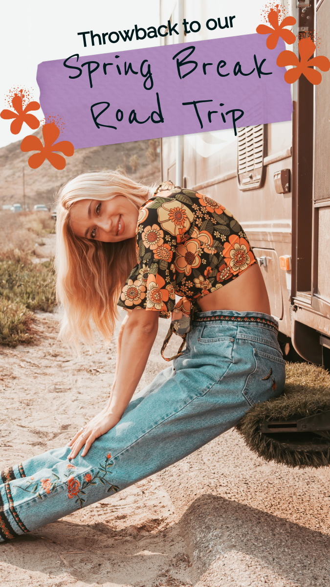 Purple & Orange Flowers Throwback Facebook Story
