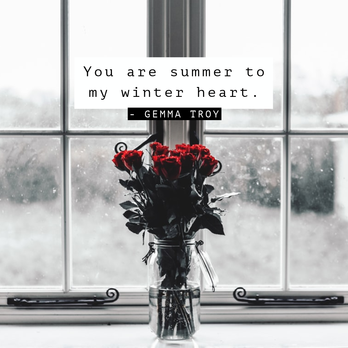 Roses on Windowsill Romantic Quote Instagram Square