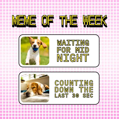 Pink And White Dog Meme