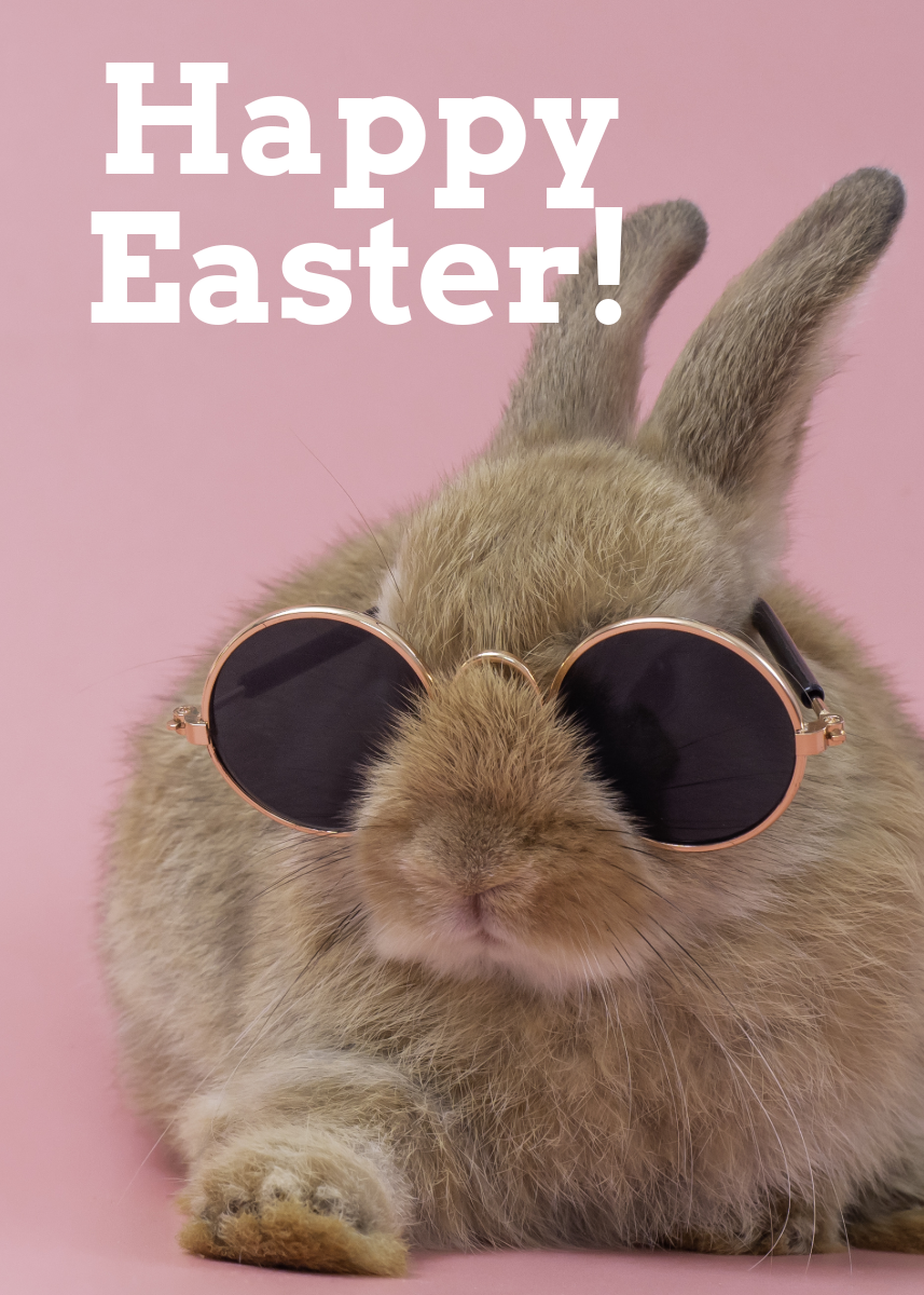 Pink Cute Rabbit Bold Easter Card Greeting