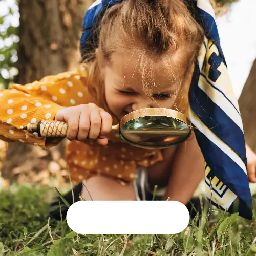 Yellow and Green Searching Blank Meme