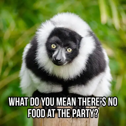 Green Black And White Funny Animal Meme