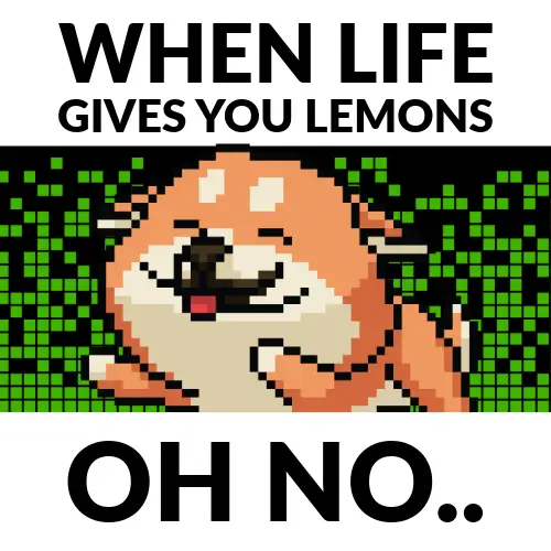 White And Black Pixel Meme