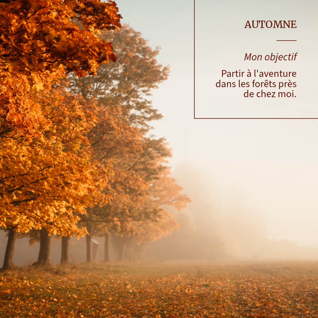 Post Carré Instagram Neutre Automne