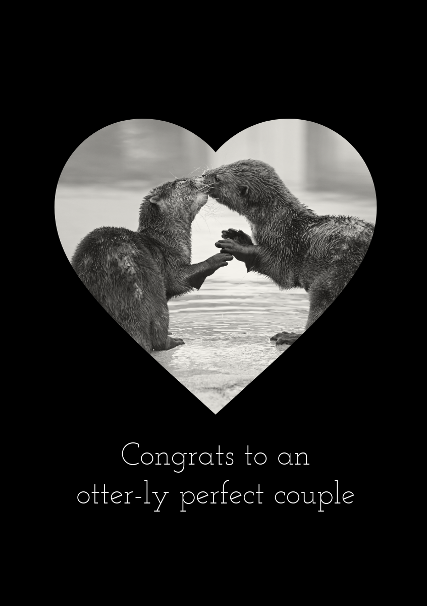 Black & Grey Congrats to an Otter-ly Perfect Couple Wedding A5 Greeting Card