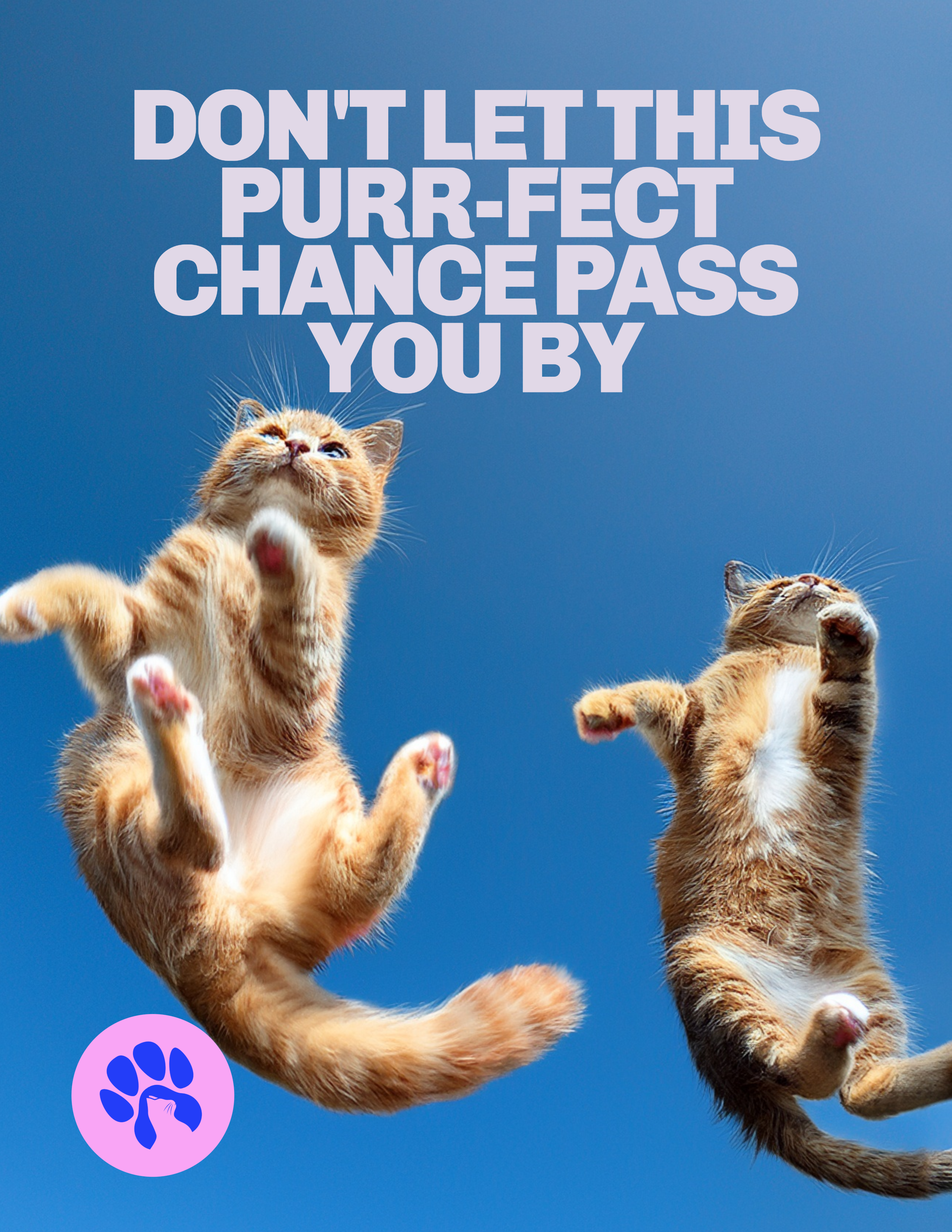 Cute and Silly All the Feels Adoption Event Ad