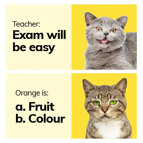 Yellow and Black Exam Meme