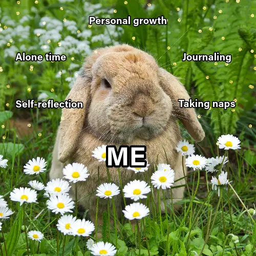 Happy Bunny Meme Instagram Square