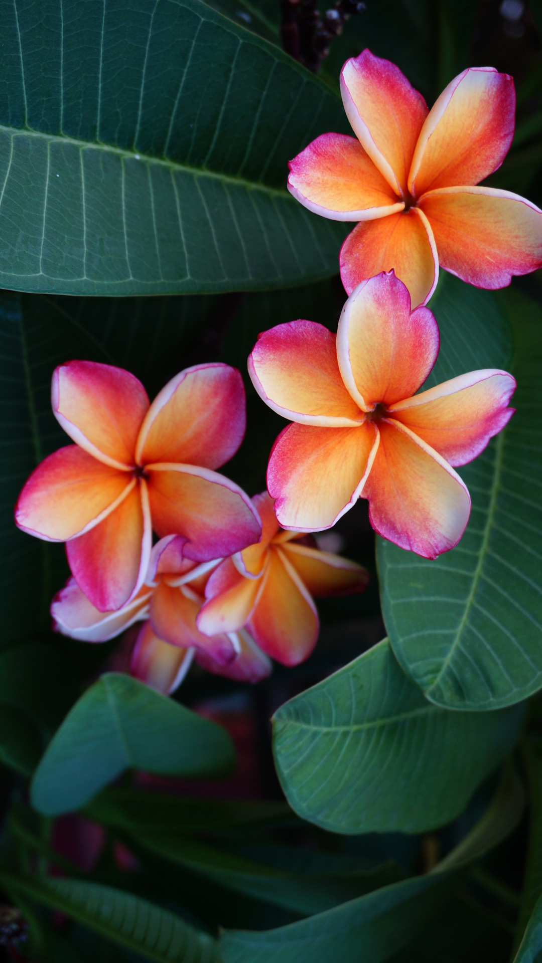 White Tropical Flowers Positive Action Instagram Story