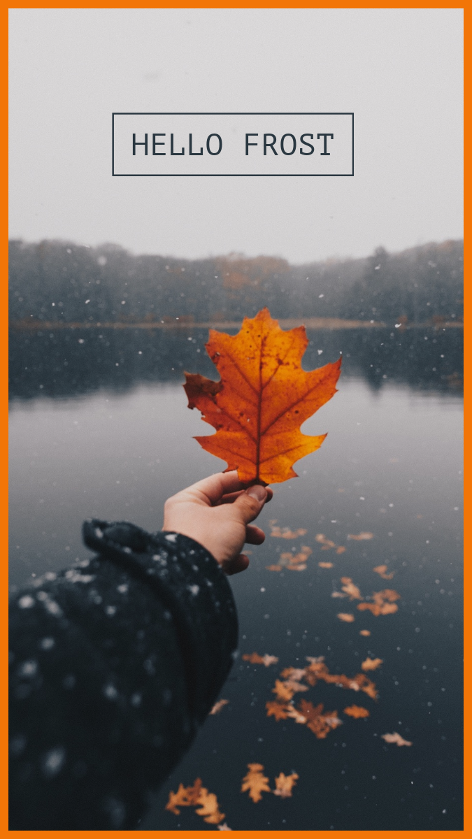 Brown Frame and Hand Holding Leaf Autumn Winter Season Change Instagram Story