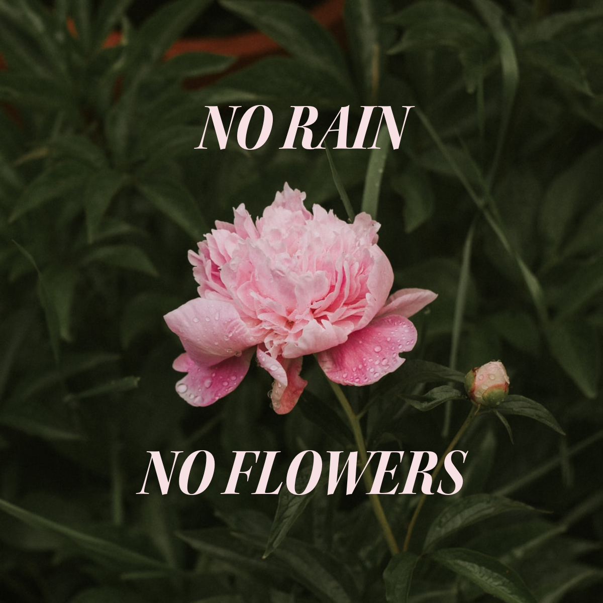 Pink and Green Nature Quote Instagram Square