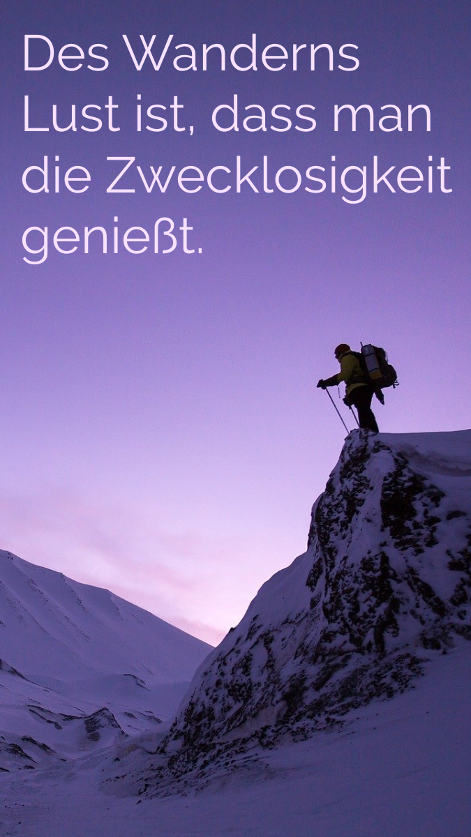 Purple Adventure Travel Quote Mobile Wallpaper