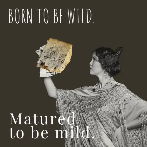 Grey White And Yellow Woman Born To Be Wild Cheese Meme Instagram Square Post