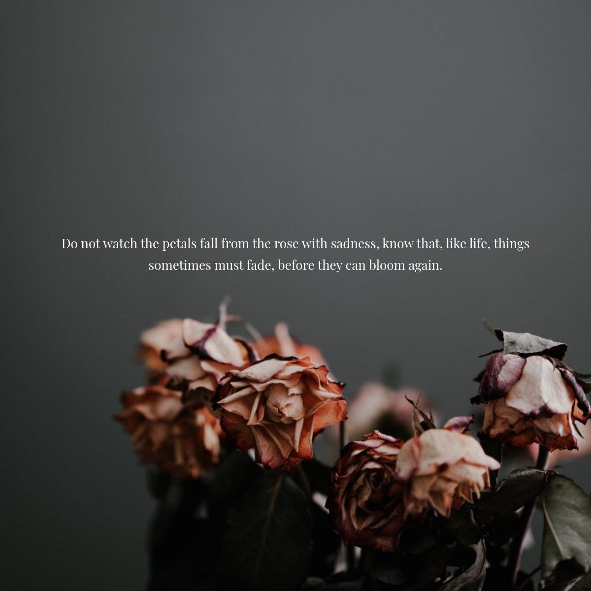 Grey, Sad Toned Reflection Quote Instagram Square