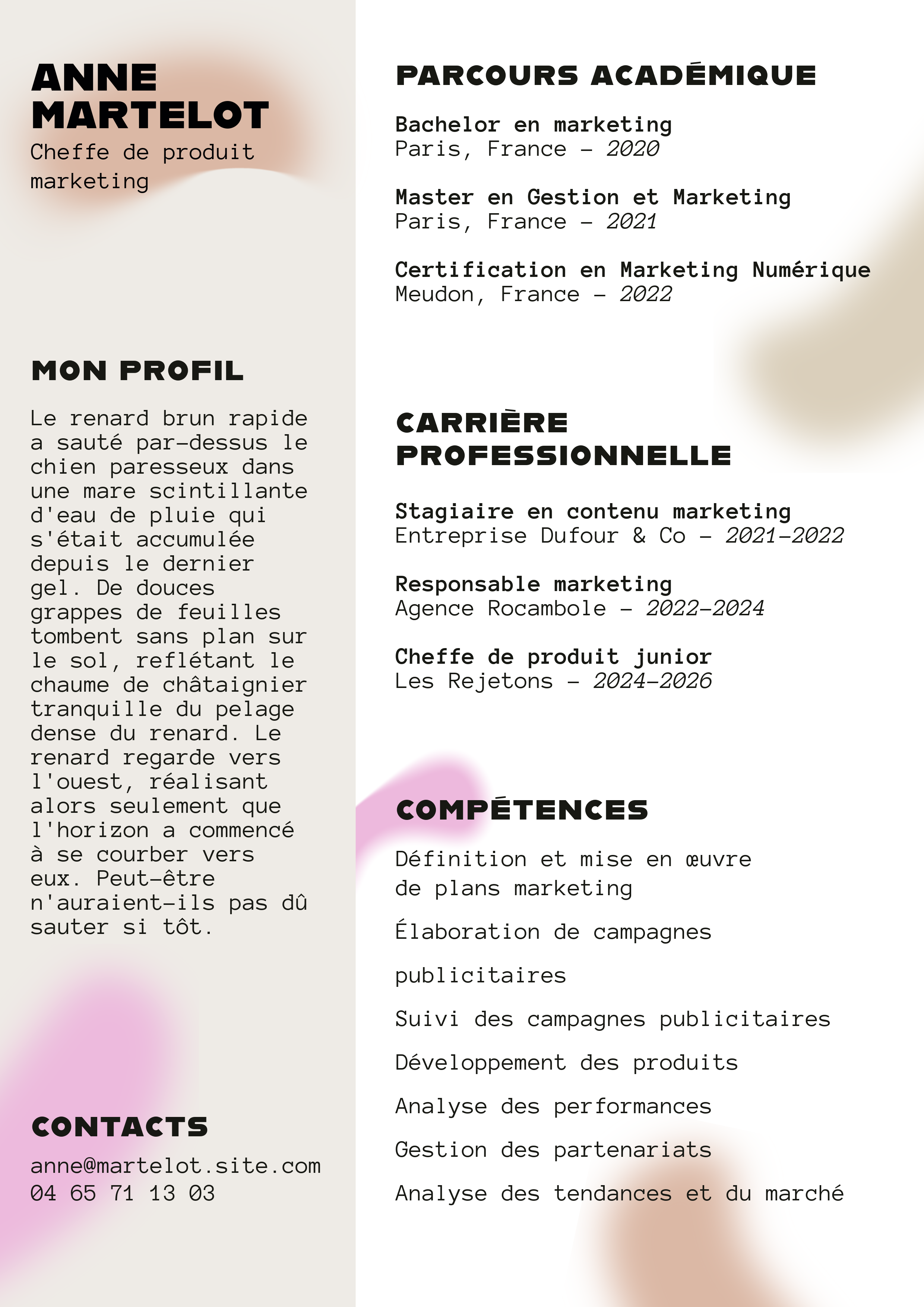 cv marketing en ligne gratuit