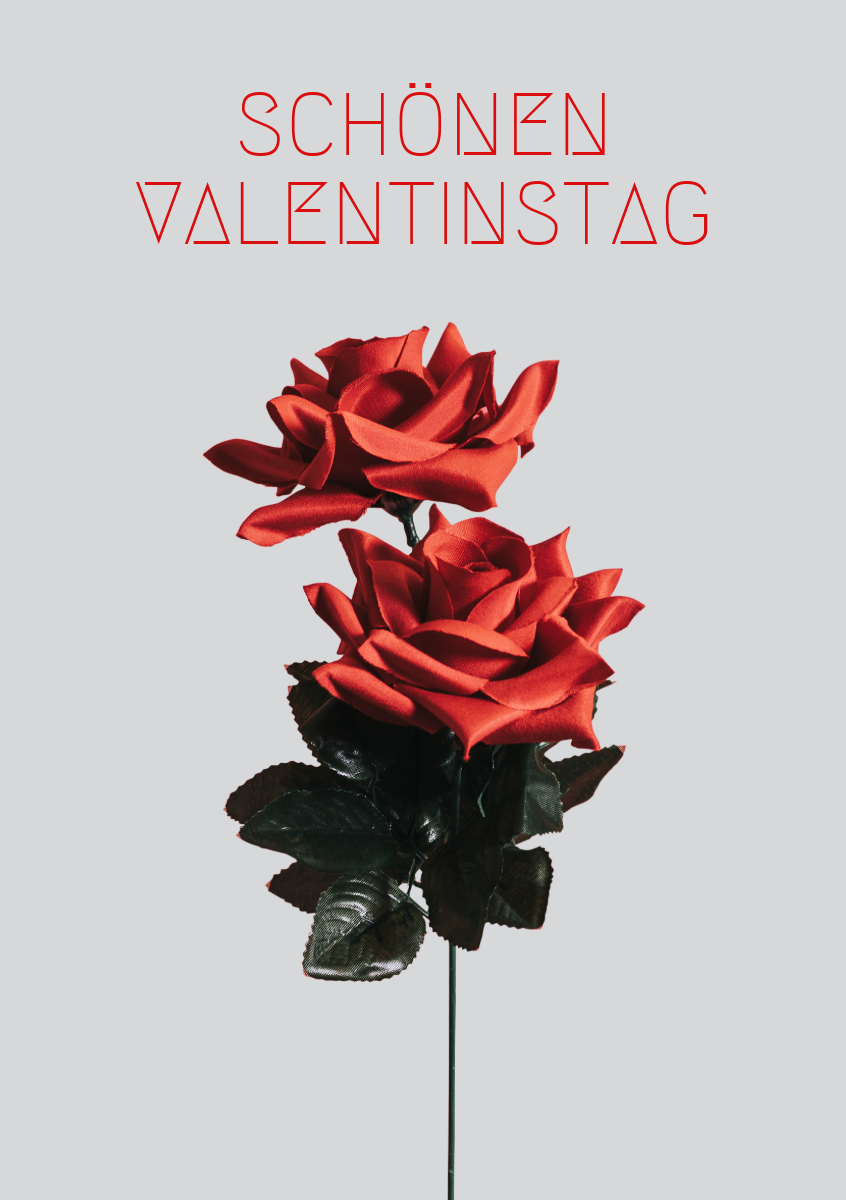Red Rose Valentine's Day Seasonal Greeting card