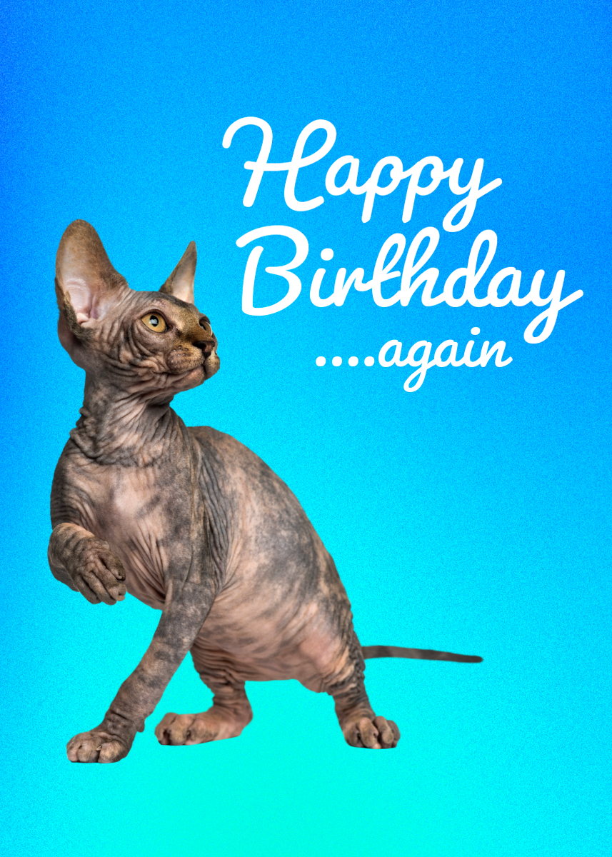 Blue Gradient Cat Happy Birthday Card