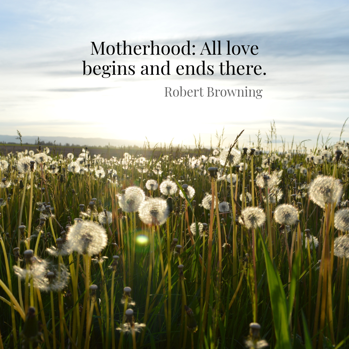 Dandelion Field Photo Mothers Day Inspirational Quote Instagram Square