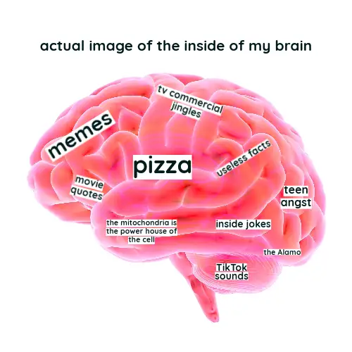 Pink Brain Meme