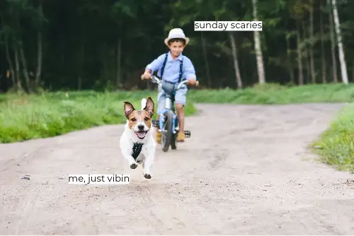 Chase Landscape Text Meme Generator Copy